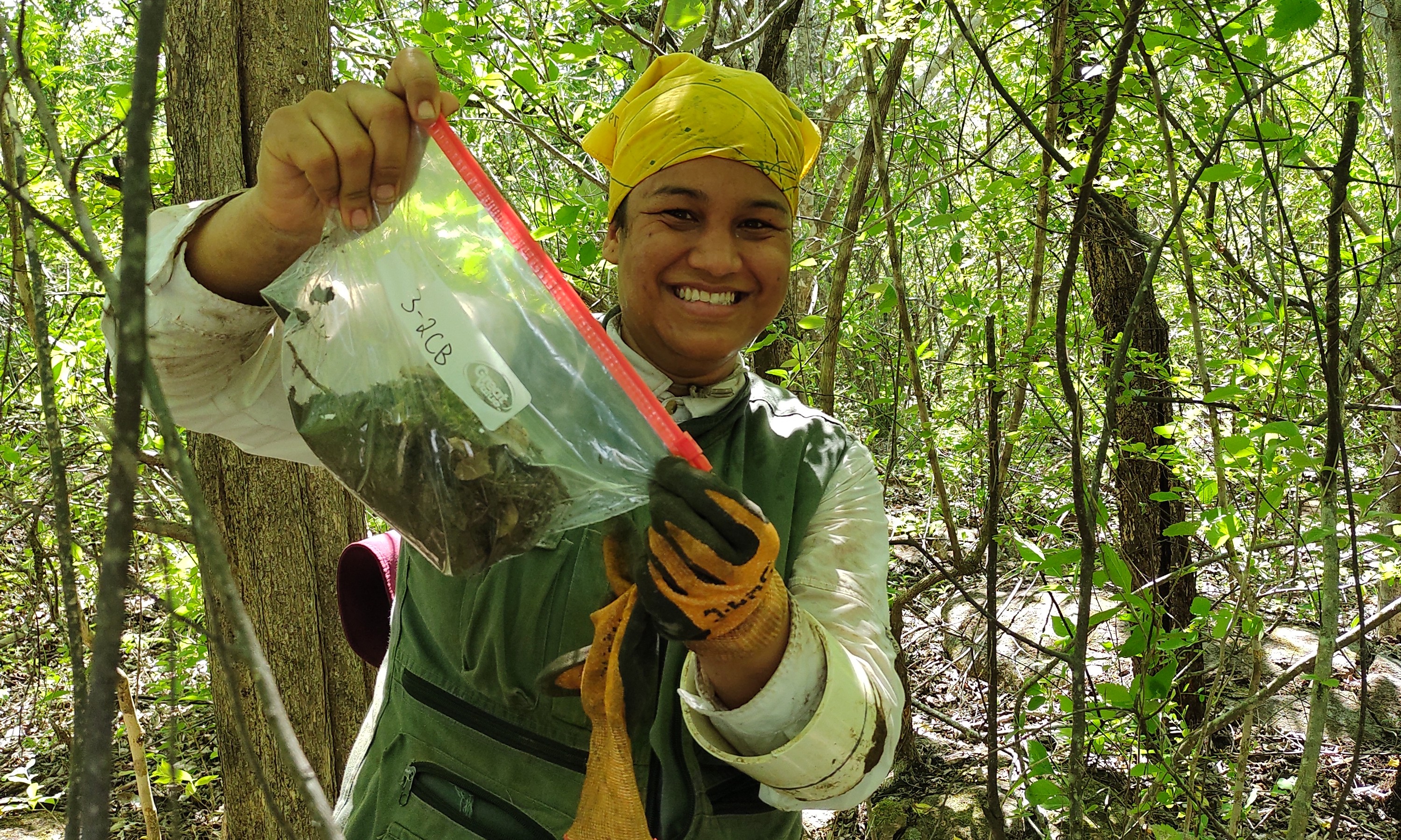 Your favorite tropical seed ecologist collecting the soil seed bank in a tropical dry forest in Costa Rica, Photo by: Rebecca Lerdau