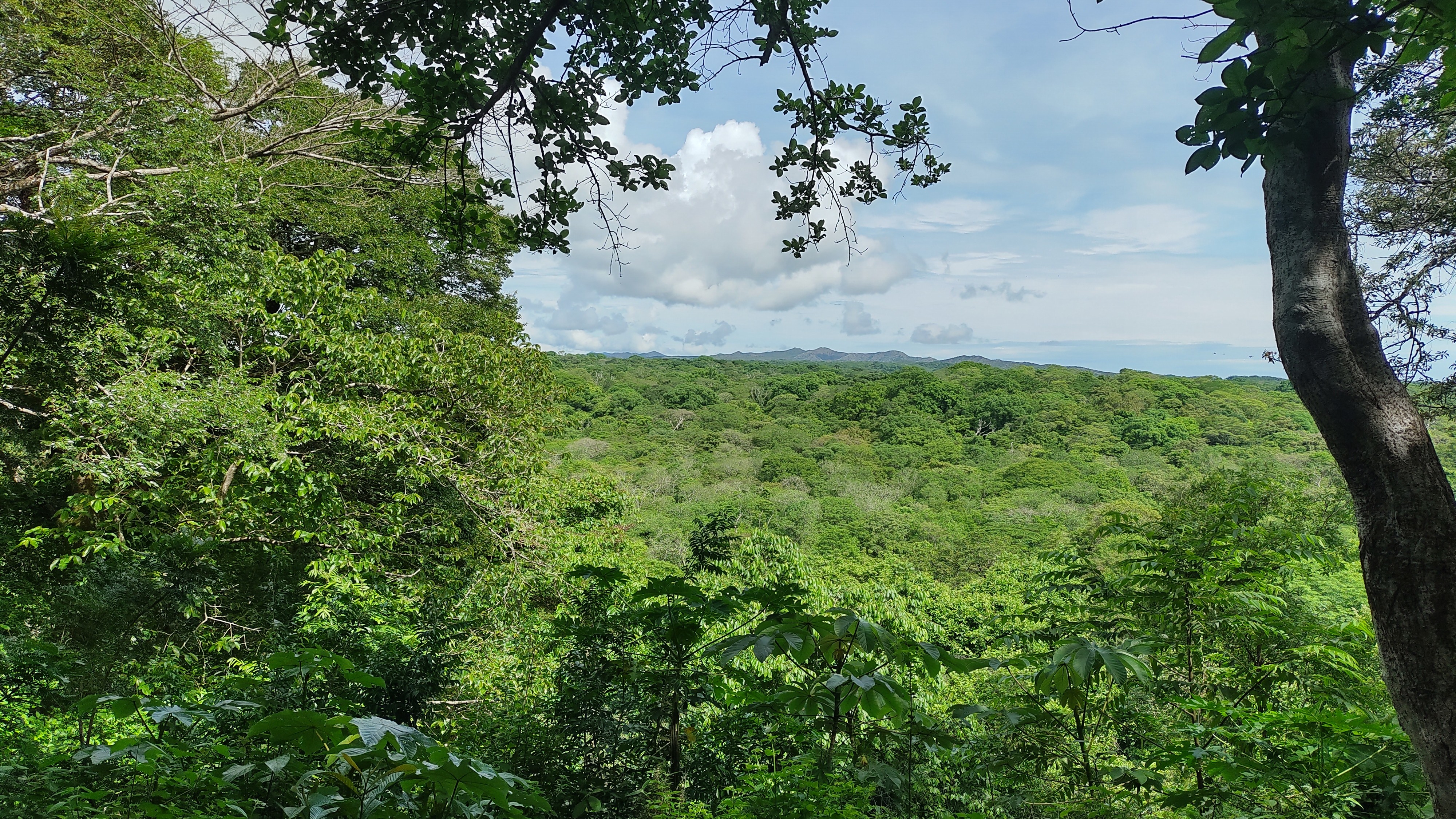 The view from El Mirador at the Santa Rosa National Park in Guanacaste, Costa Rica, Photo by: Viviana Londoño-Lemos