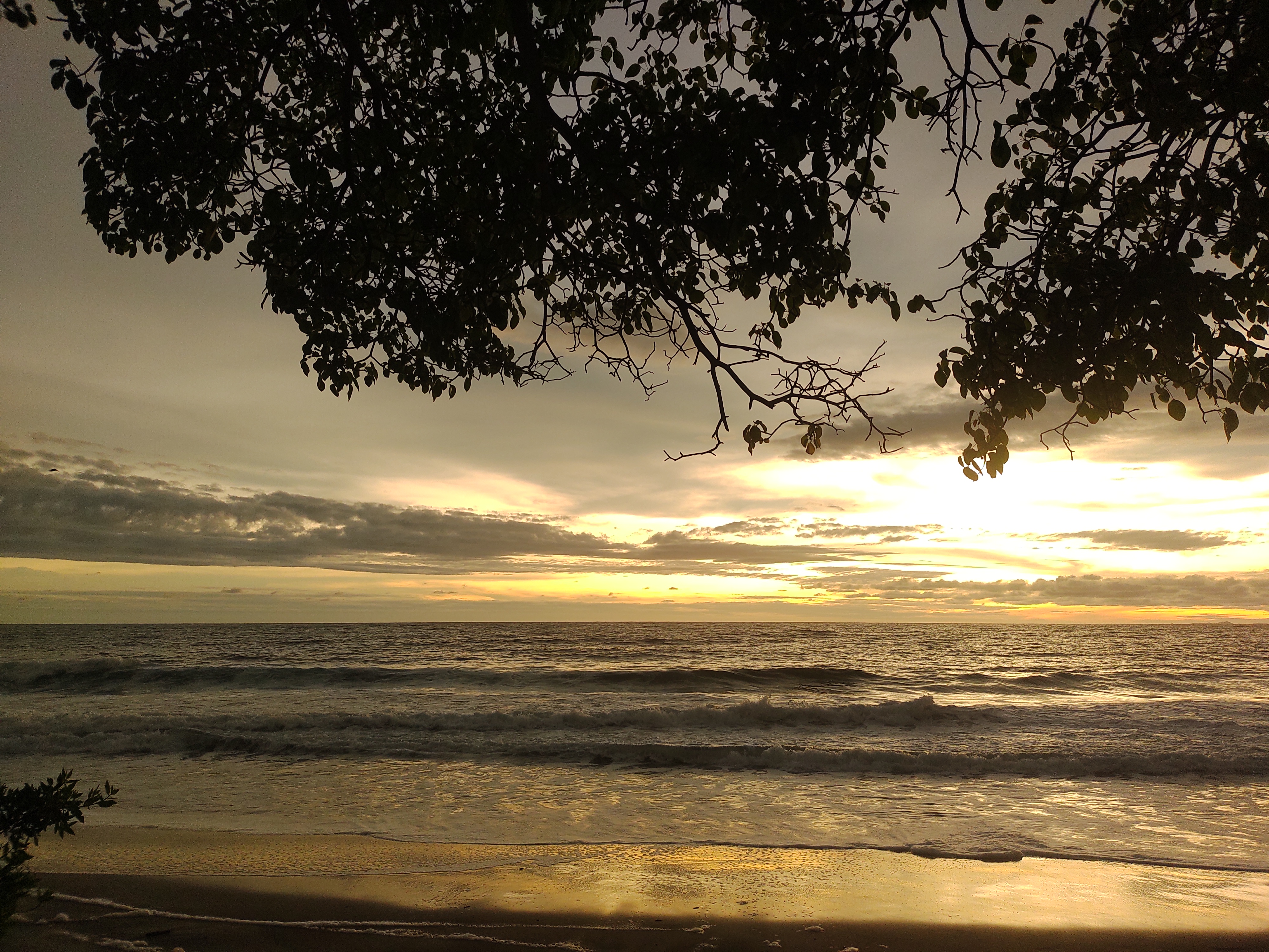 Under the tree. Photo by: Viviana Londoño-Lemos